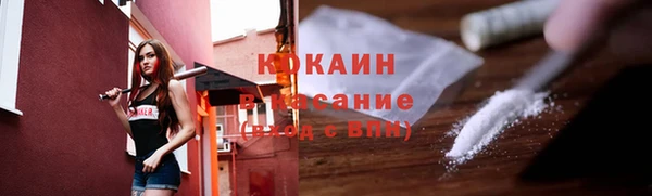 бошки Алексин