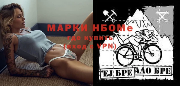 винт Алзамай