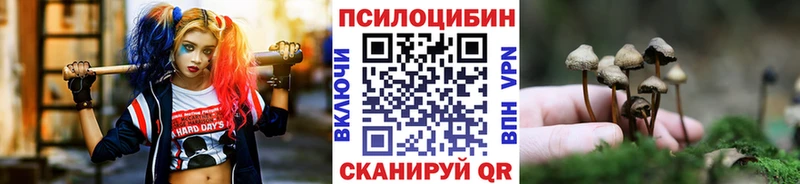 Псилоцибиновые грибы мухоморы Костерёво