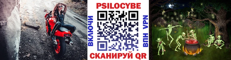 магазин продажи наркотиков  omg маркетплейс  Псилоцибиновые грибы GOLDEN TEACHER  Костерёво 