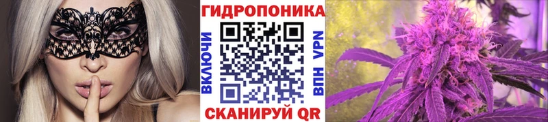 купить наркотики цена  Костерёво  Бошки марихуана сатива 